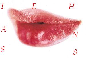 BISOU